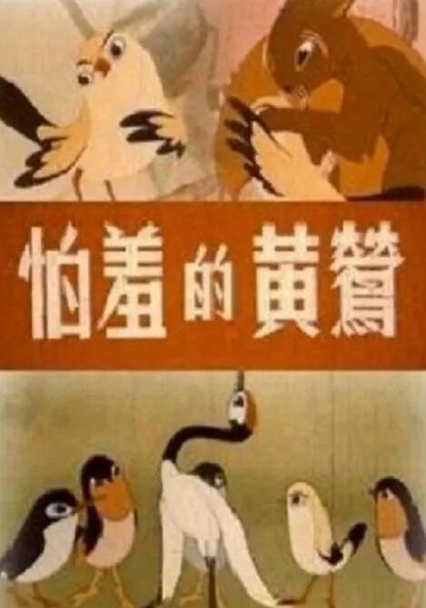 已婚妇女白皮书